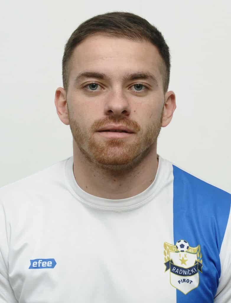 Nemanja Petrov - Slika