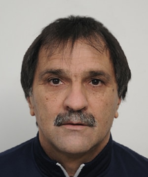Ivan Džunić - Slika