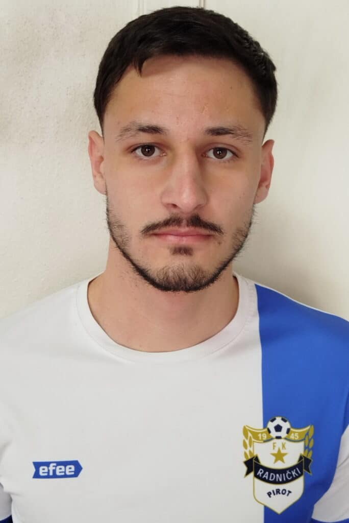 Veljko Mitić Slika