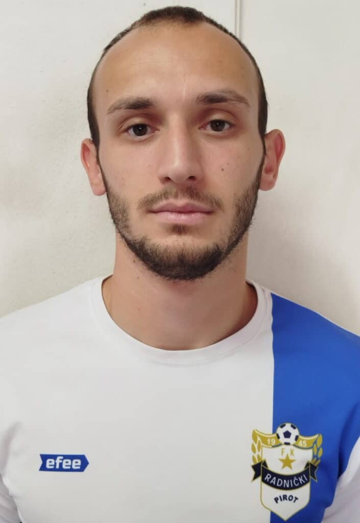 Vladimir Nedeljković Slika