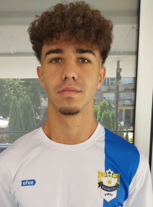 Aleksa Dušanić - Slika