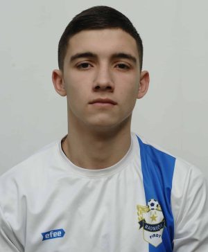 Lazar Ilić - Slika