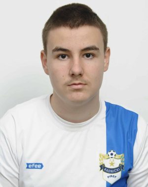 Luka M. Petrović Slika