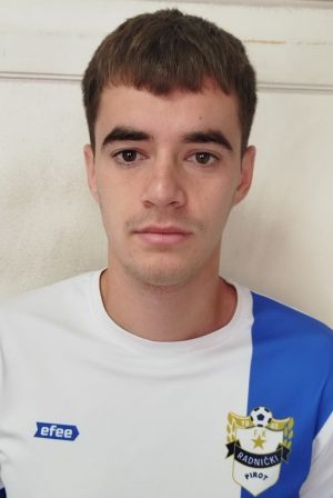 Luka Tanasijević Slika