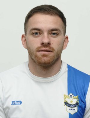 Nemanja Petrov - Slika