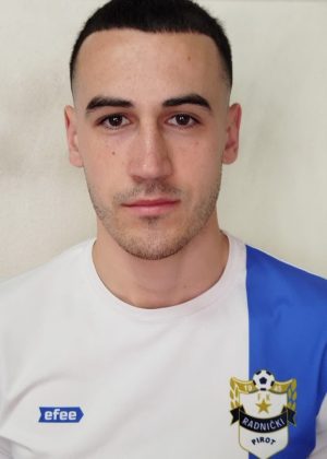 Nikola Bogdanović Slika