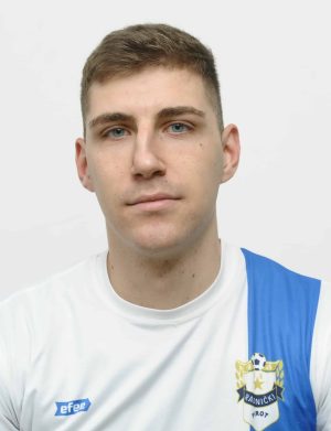 Novak Petrović Slika