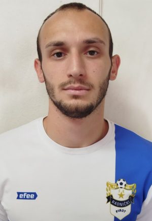 Vladimir Nedeljković Slika